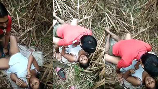 Desi Girlfriend Sharing Sex In Jungle Viral Free Video